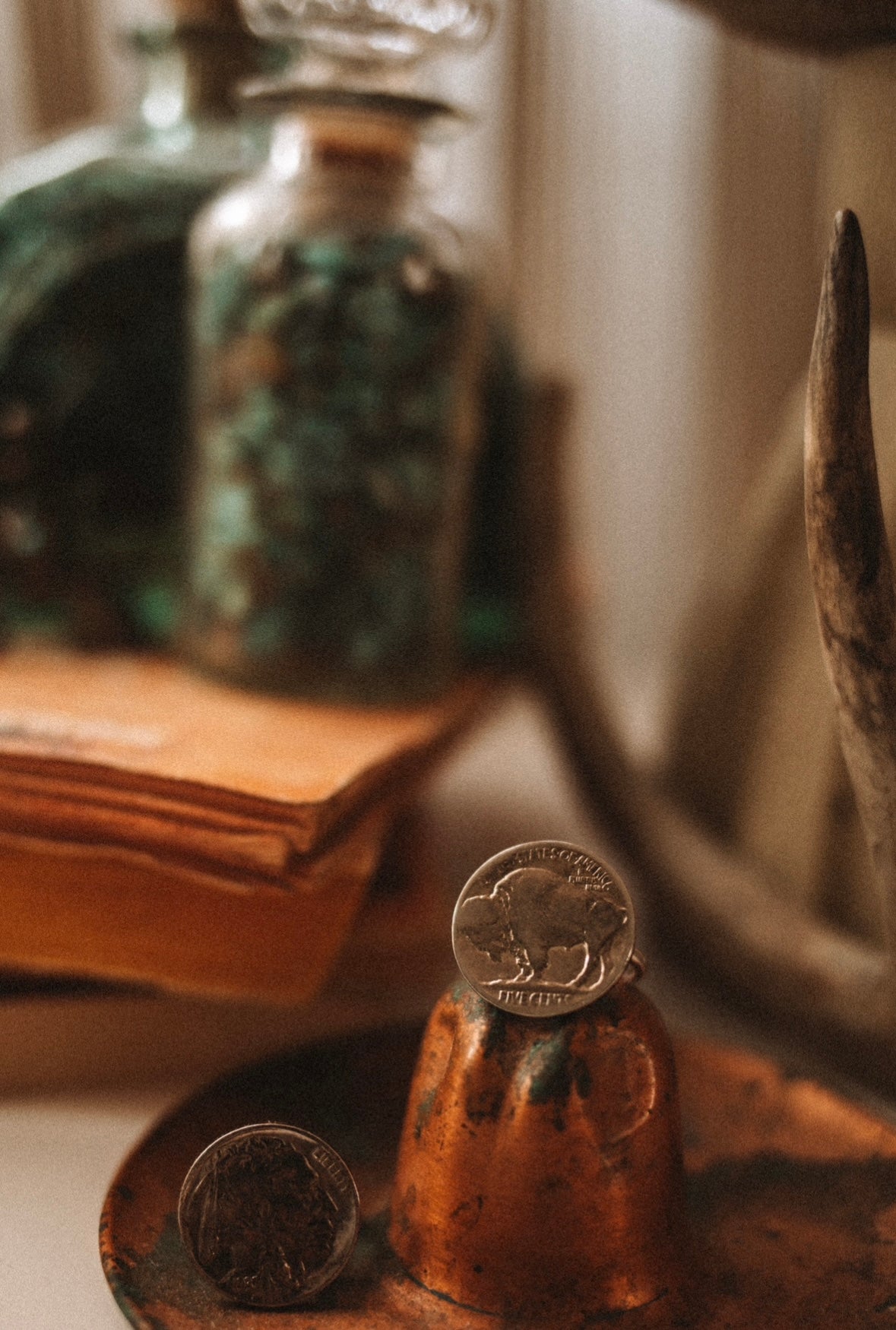 buffalo nickel ring (buffalo) size 8