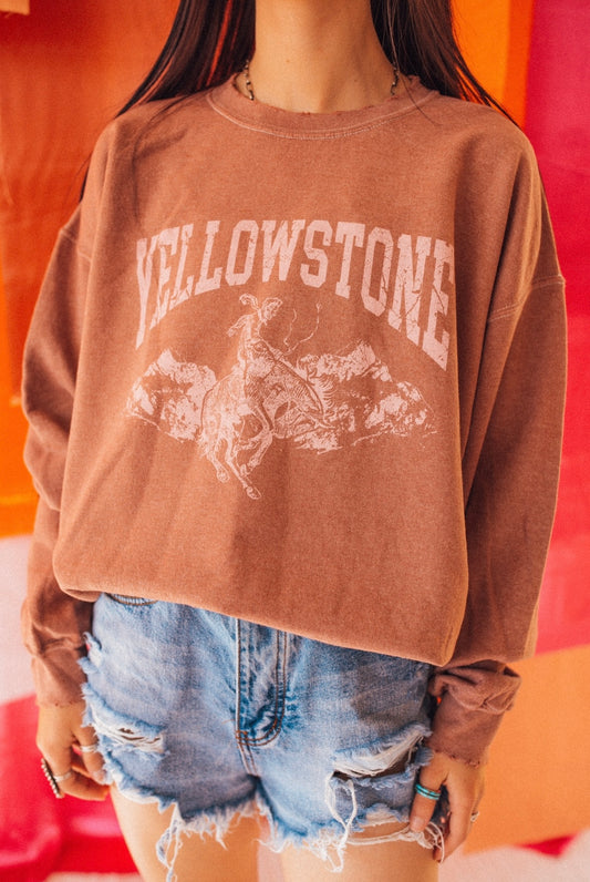 Yellowstone sweatshirt