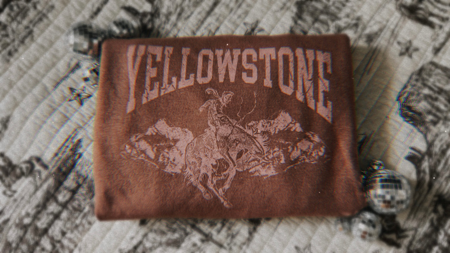 Yellowstone sweatshirt