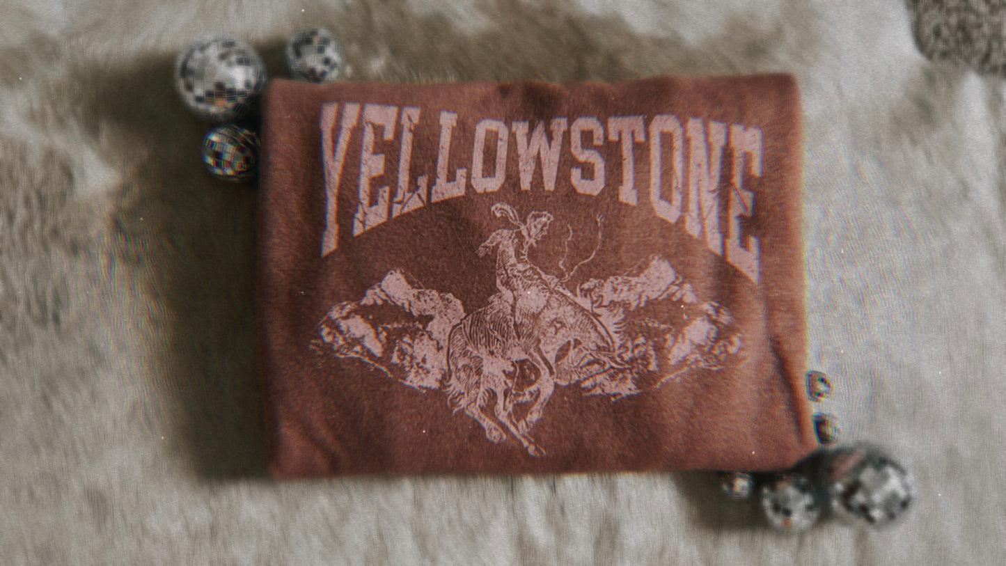 Yellowstone sweatshirt