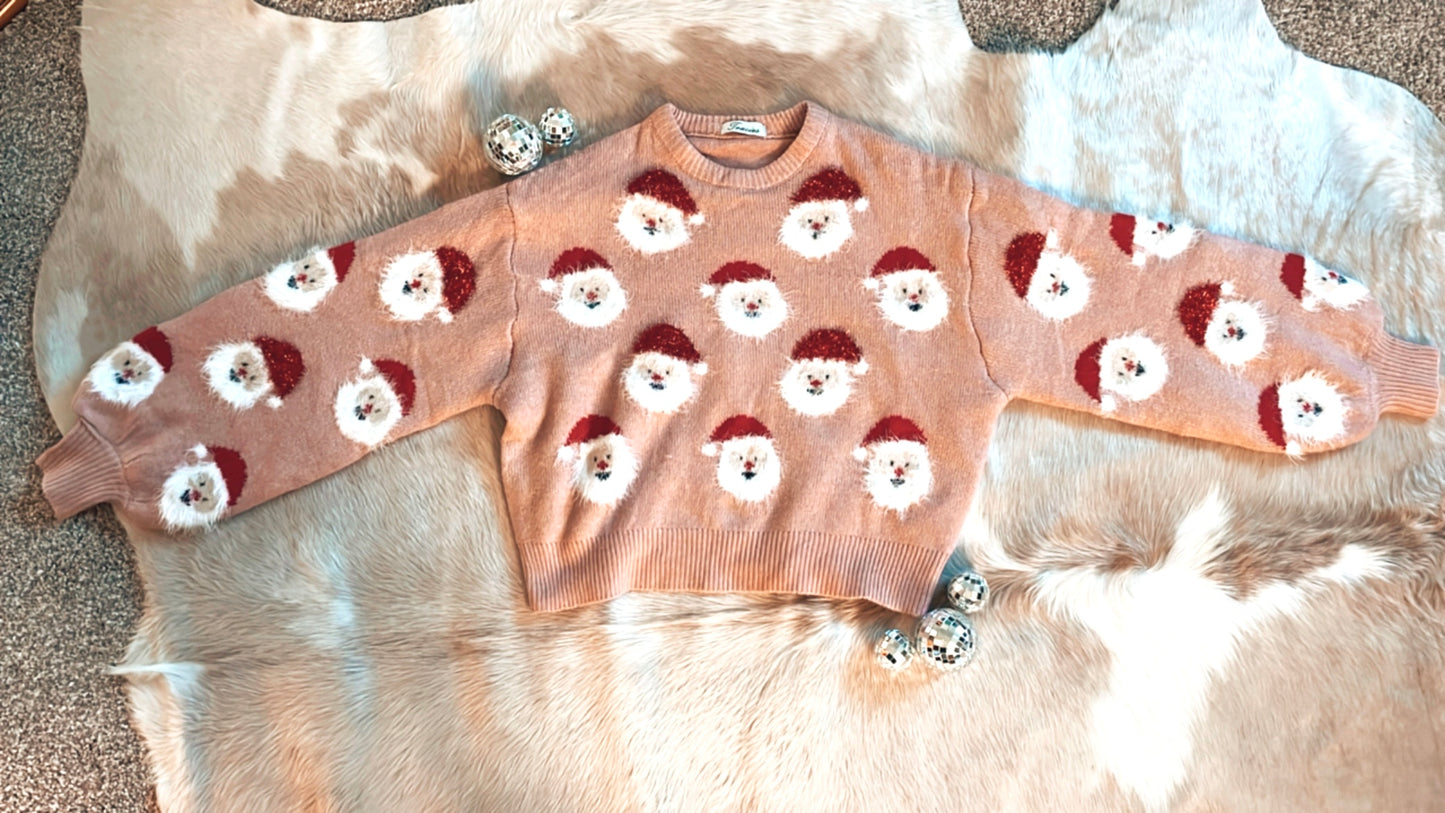 Santa Baby Sweater